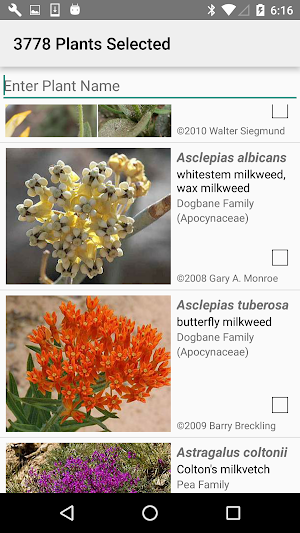 Arizona Wildflowers Screenshot 1