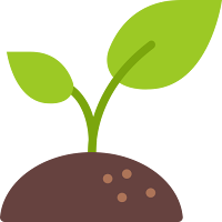 Plant a tree