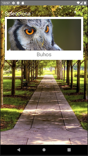 Rompecabezas de Buhos Screenshot 0