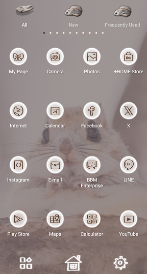 Ezo Flying Squirrel Theme Screenshot 2