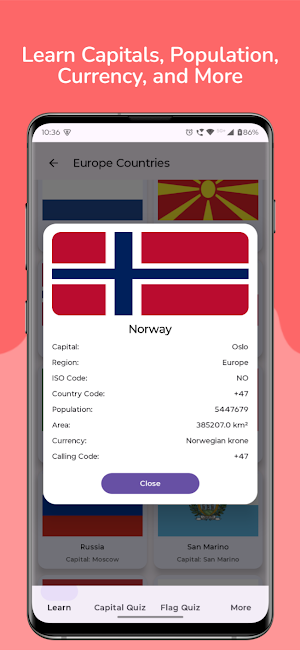 World Flags and Capitals Screenshot 2