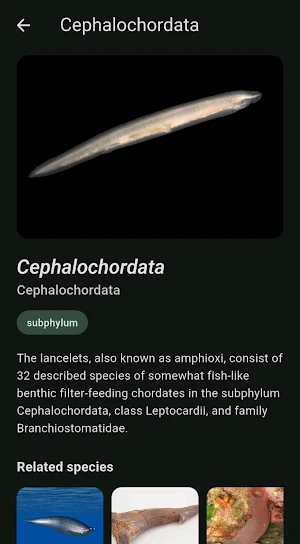 EvoTree Screenshot 0