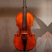 Violin Cover 01