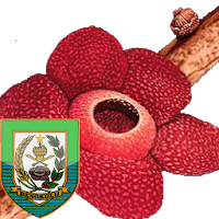 Mengenal Pariwisata Bengkulu