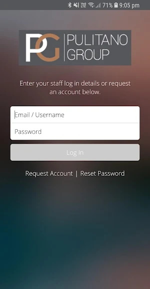 Pulitano Group Screenshot 0
