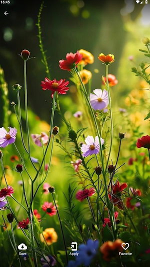 Flower Wallpapers Full HD 4K Screenshot 1