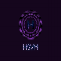 HSVM Consultation