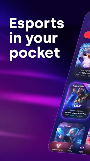 Ignite Tournaments Screenshot 0