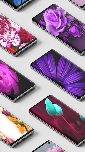 Rose Wallpapers Screenshot 1