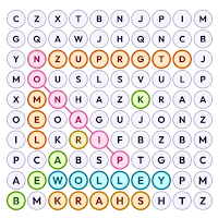 FIND THEM WORDS