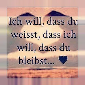 Liebessprüche App Screenshot 2