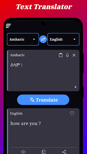 Amharic Translator Screenshot 2