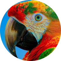 Wildlife HD