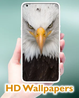 Eagle Wallpaper HD Aesthetic Screenshot 3