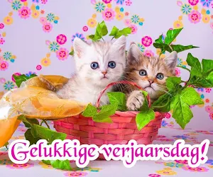 Gelukkige verjaarsdag Beelde Screenshot 1