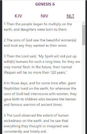 Simple Bible (KJV, NIV, NLT) Screenshot 1
