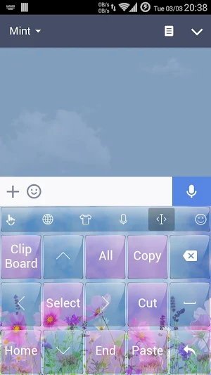 Keyboard Theme G Spring Flower Screenshot 3