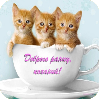 Доброго ранку