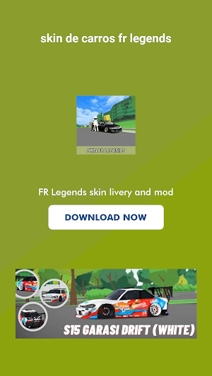Skin De Carros FR Legends Screenshot 0