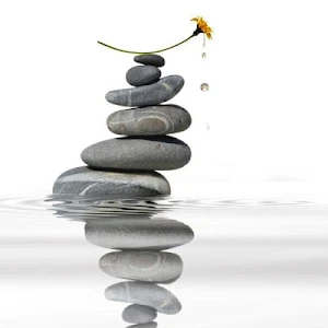 Serenidad y Equilibrio Screenshot 2