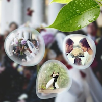PIP Collage Photo Album Maker
