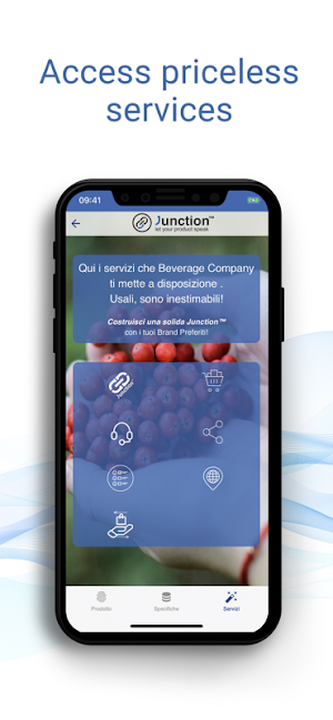 Junction® Screenshot 1