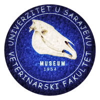 vfs-museum