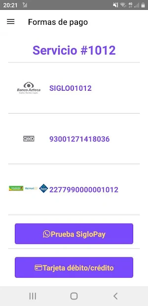 Siglo Internet Screenshot 3