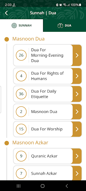 Madinah Masjid of Carrollton Screenshot 3