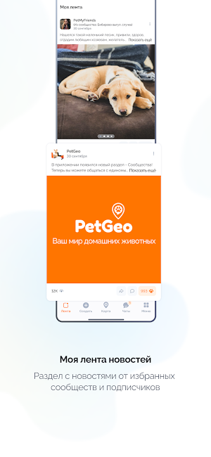PetGeo Screenshot 1