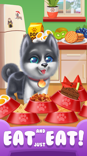 My Husky Dog Puppy Pet Daycare Screenshot 1