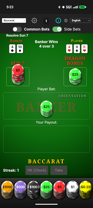 Blackjack & Baccarat Trainer Screenshot 3