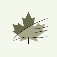 Maple Studio
