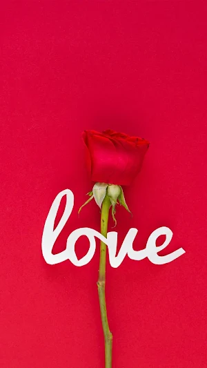 Wallpapers HD - Mobile Wallpapers 100% Free Screenshot 2