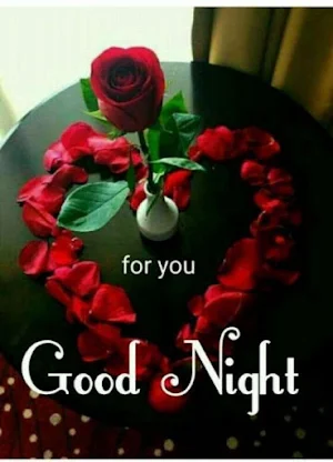 Good Night Sweet Dreams GIF Screenshot 2