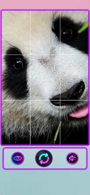 Puzzle Fever: Pandas Screenshot 1
