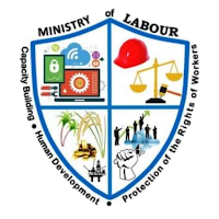 Labour Inspection
