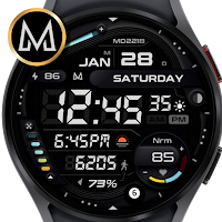 MD221B Digital watch face