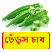 ঢেঁড়স চাষ ~ Okra Cultivation