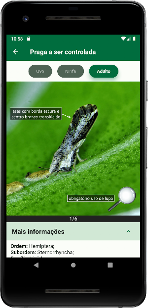 IDR Tamarixia Screenshot 3