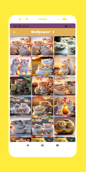Cute Cat Wallpaper HD Screenshot 1