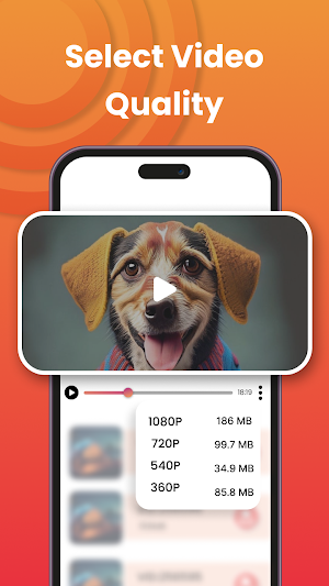 All Video Downloader Screenshot 2
