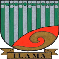 AHPE Centro Ilama