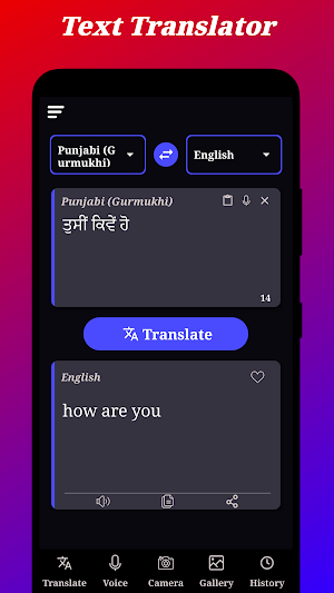 Punjabi Translation Screenshot 0