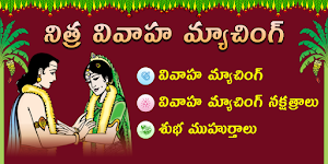 Vivaha Matching in Telugu Screenshot 0