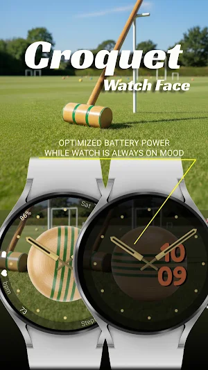 Croquet (Animated) Screenshot 2