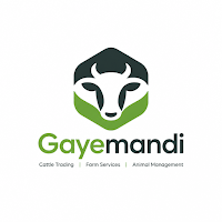 Gaye Mandi