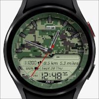 aad07 Camouflage_2