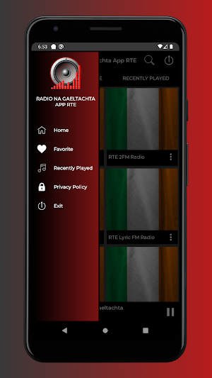 Radio Na Gaeltachta App RTE Screenshot 2
