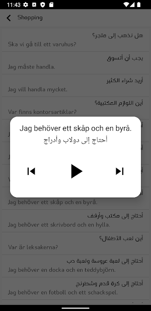 Learn Swedish without Internet Screenshot 3